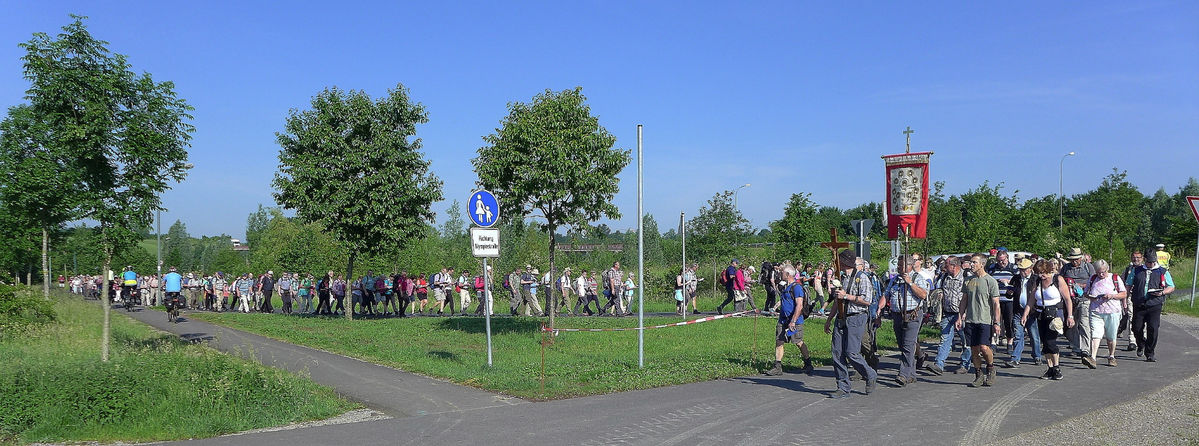 Fußwallfahrt zum Heiligen Blut nach Walldürn